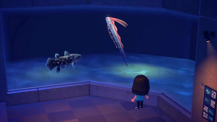 How to Catch the Coelacanth in Animal Crossing New Horizons